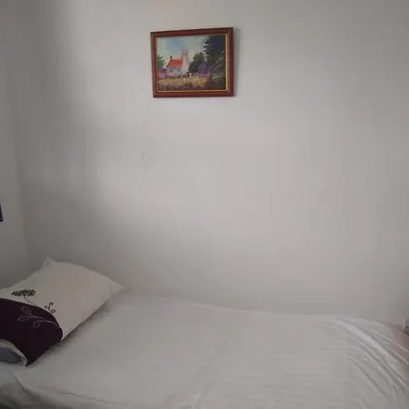 Comfy House Guest house